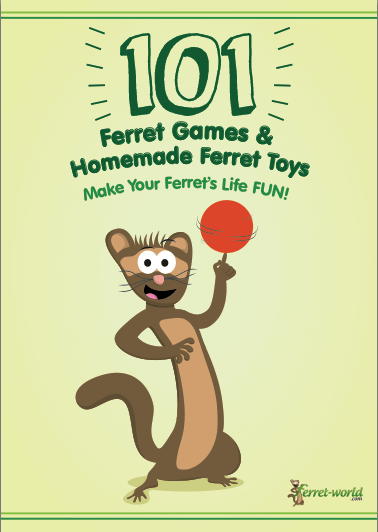 101 Ferret Games Homemade Toys