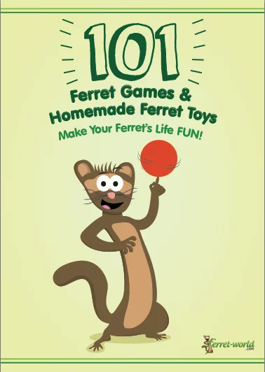 101ferretgamesebookcover