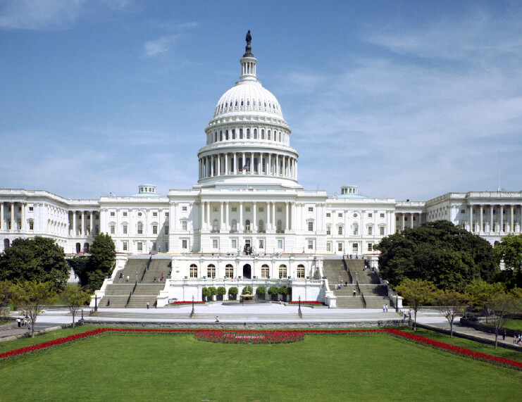 Ferrets Legalized in Washington, D.C.