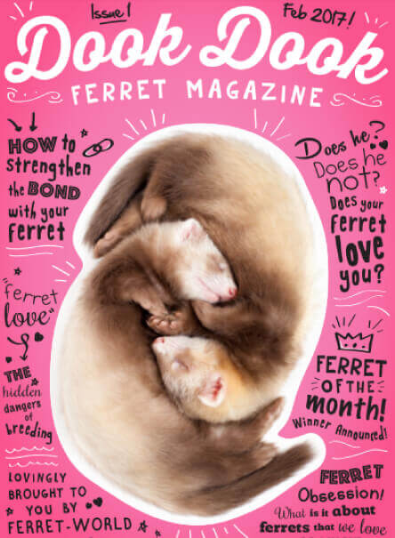 magazine-image magazine image