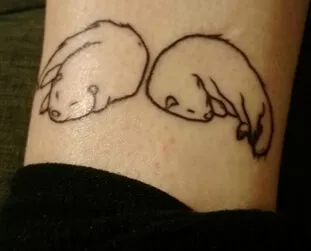 Ferret Tattoo: Get Ideas & Designs for Tattoos (2021)
