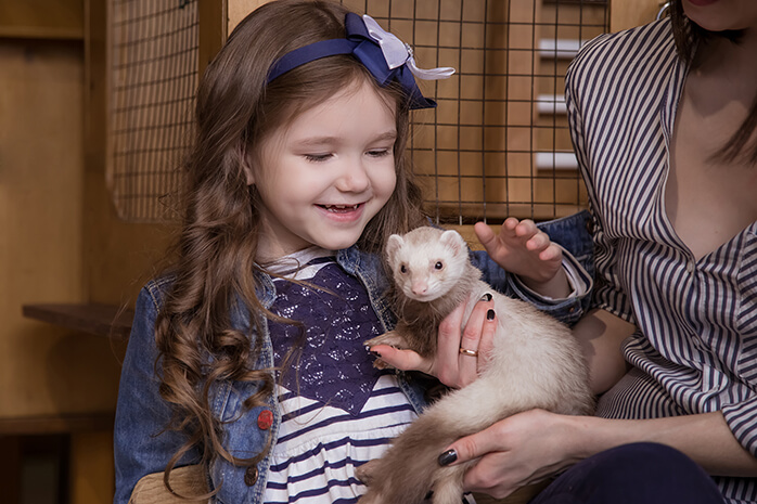 babies and ferrets babies and ferrets