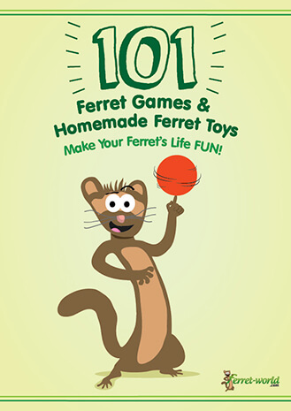 Ferret Toys The Best Homemade Diy