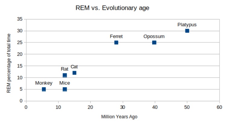 This graph shows that as new mammalian species evolved, their brains engage in less REM sleep. Ferrets evolved about 30 million years ago, and 25% of their total sleep is REM sleep.