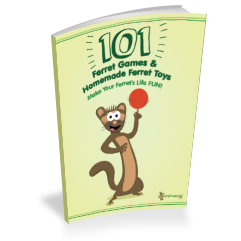 101 Ferret Games & Homemade Ferret Toys