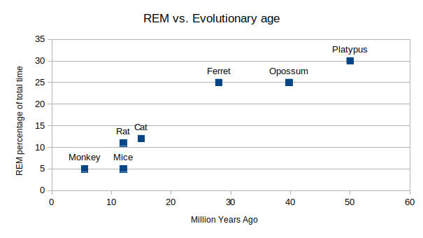 REM vs Evolutionary age
