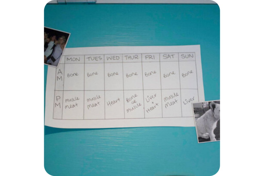 A photo of Evie's food schedule.