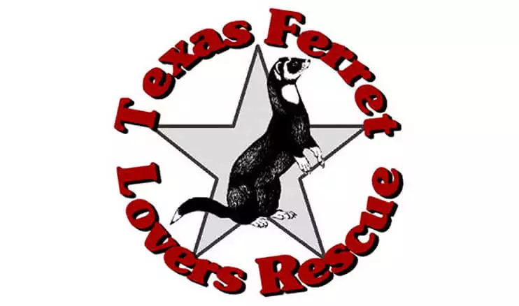 Featured Ferret Shelter: Texas Ferret Lovers Rescue