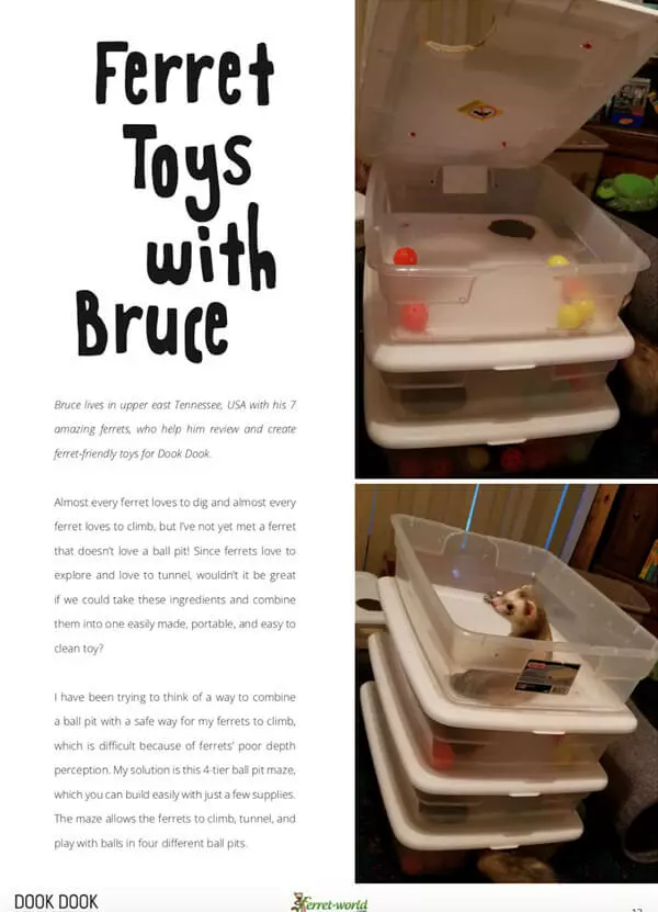 Ferret Toys With Bruce! How to make a 4-tier ball pit maze