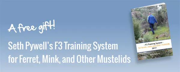 Seth Pywell’s F3 Training System for Ferret, Mink, and Other Mustelids.