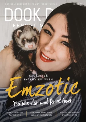 Dook Dook Ferret Magazine 15