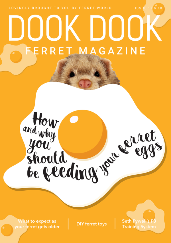Dook Dook Ferret Magazine 17-18