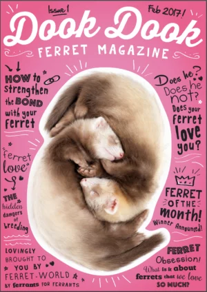 Dook Dook Ferret Magazine - Ferret Love Edition