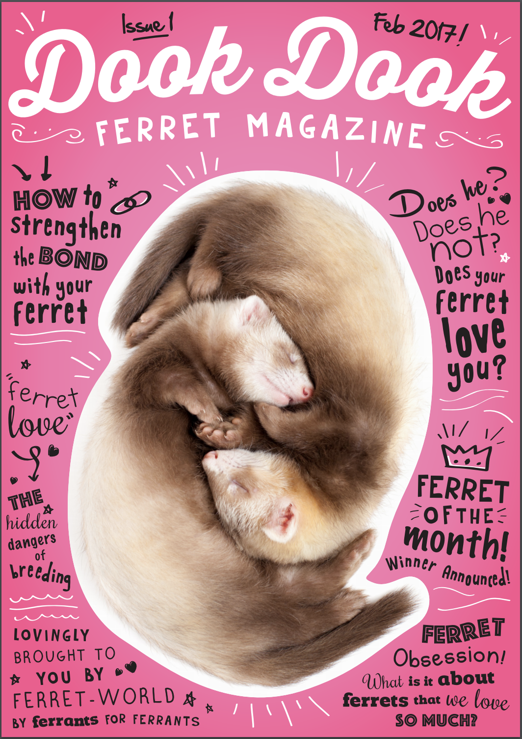 ferret dook magazine edition ferrets mykajabi feb february