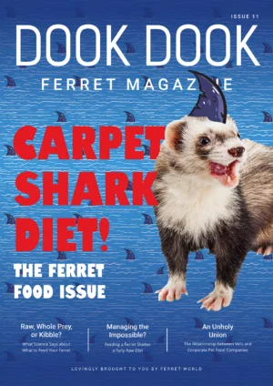 Dook Dook Ferret Magazine Issue 11