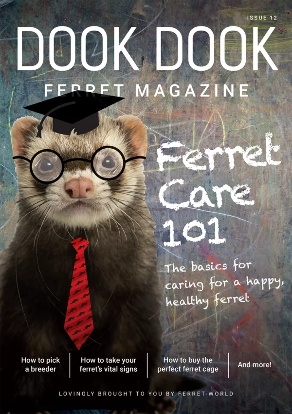 Dook Dook Ferret Magazine Issue 12