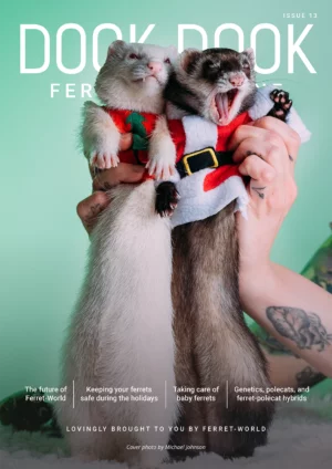 Dook Dook Ferret Magazine Issue 13