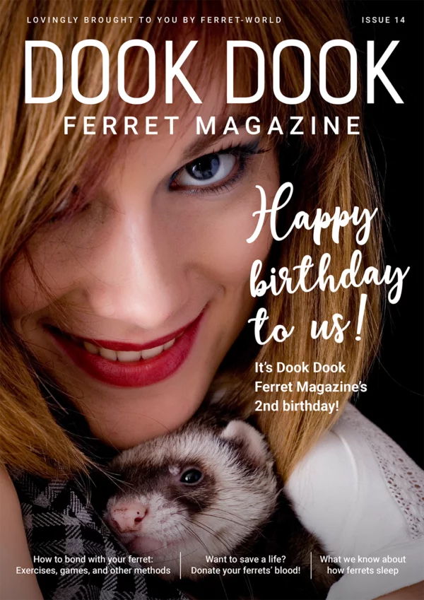 Dook Dook Ferret Magazine Issue 14 - 2 Year Anniversary Issue
