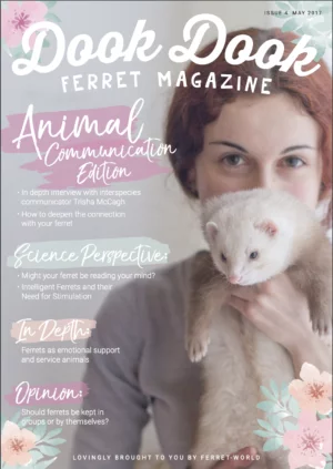 Dook Dook Ferret Magazine Issue 4 - Animal Communication Edition