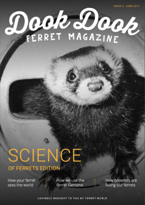 Dook Dook Ferret Magazine Issue 5 - Science Of Ferrets Edition