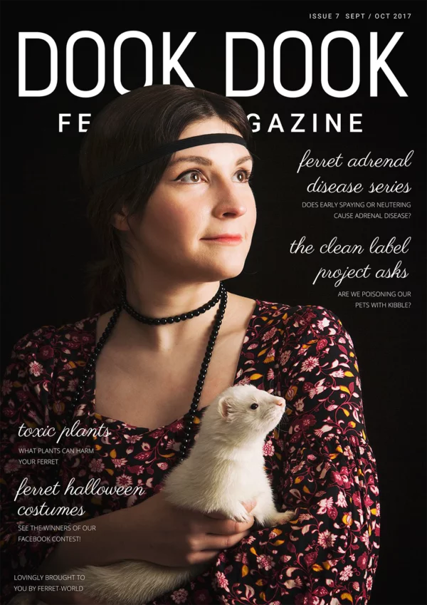 Dook Dook Ferret Magazine Issue 7