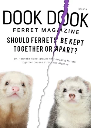 Dook Dook Ferret Magazine Issue 9