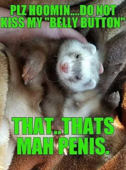 Do not kiss my belly button