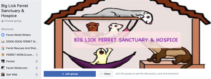 Big Lick Ferret Sanctuary and Hospice