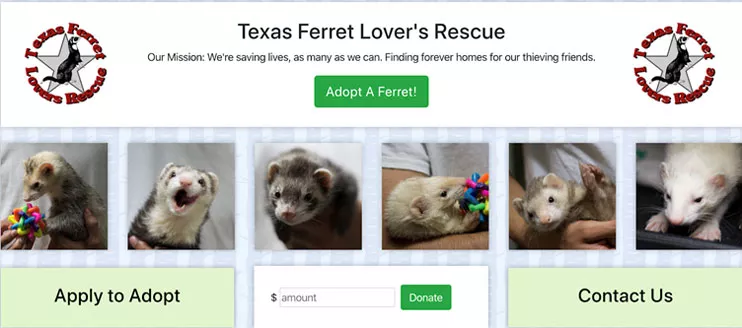 Texas Ferret Lovers Rescue