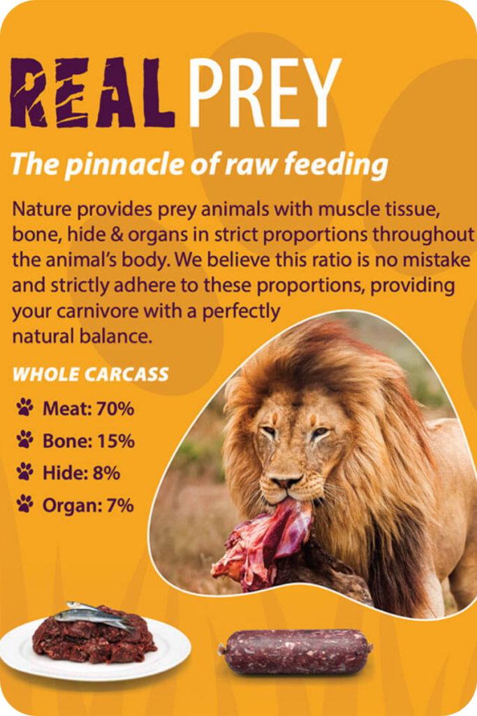 "Real Prey:" An infographic displaying details about how to feed a raw diet.