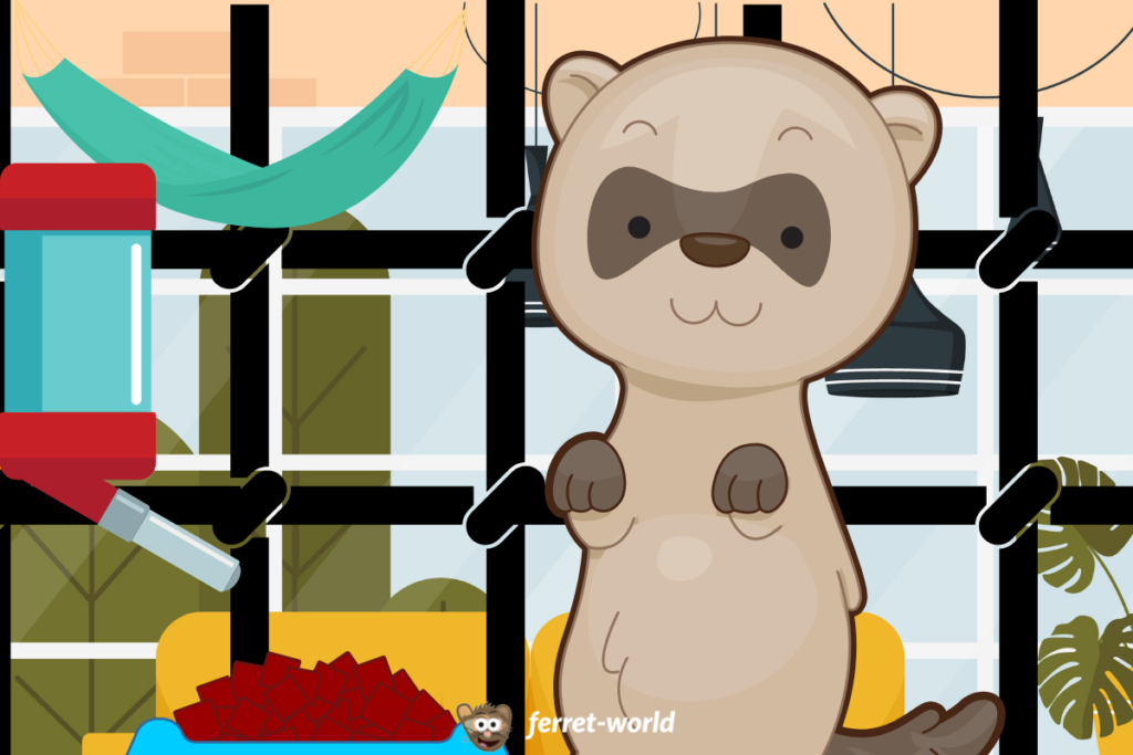 An illustration of a ferret sitting in front of its cage, which contains a water feeder, a bowl of kibble, and a hammock.