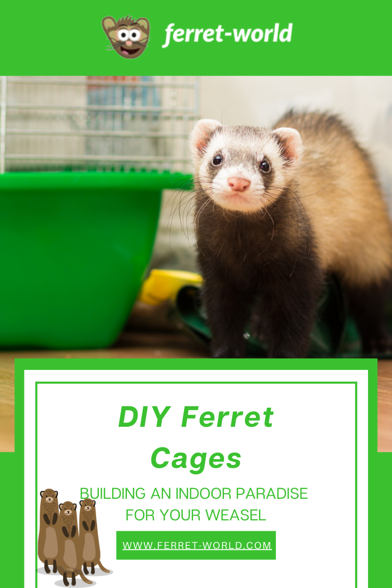 Diy Ferret Cages An Indoor Paradise