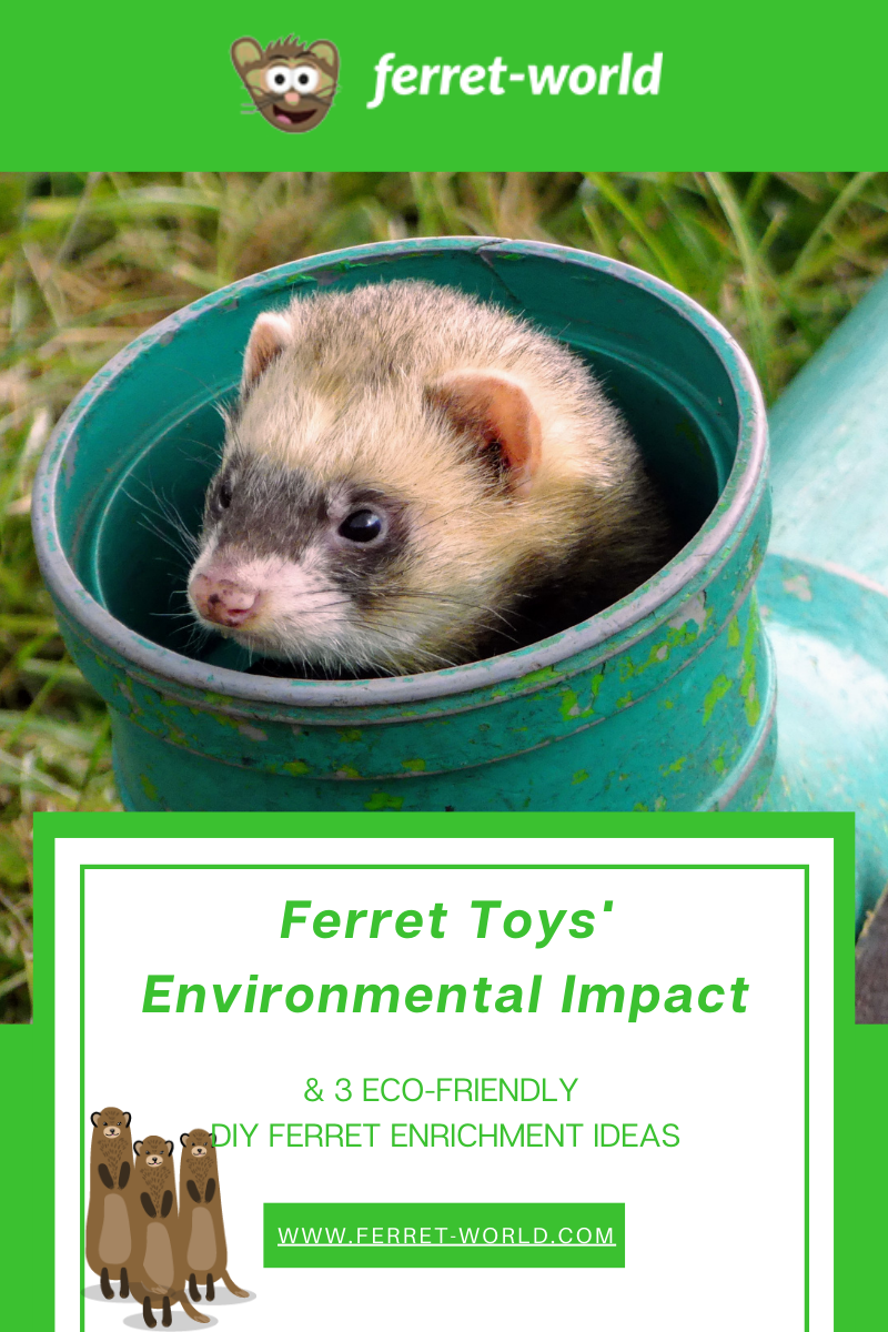 Ferret Toys Environmental Impacts 3