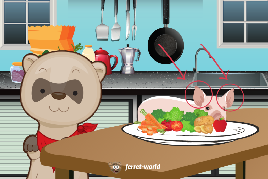 Ferret Teething Top 5 Unconventional Chewing Toys & What to Know About