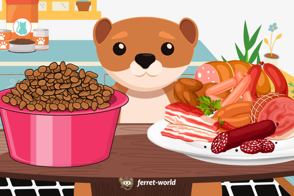 A ferret sits at a dining table where a bowl of kibble rests alongside a plate full of delicious fresh meat.