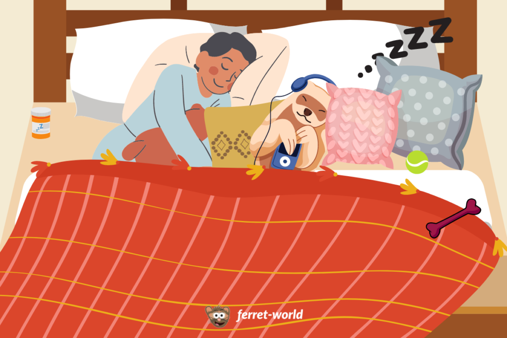 A young child snuggles in bed with their pet ferret. The ferret is listening to an mp3 player.