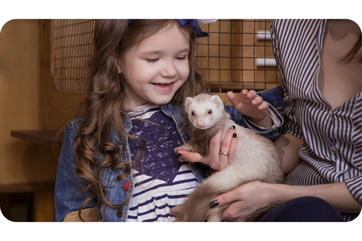 A little girl excited pets a ferret held by an adult.