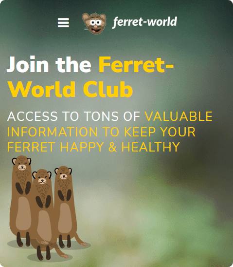 Join the Ferret World Club